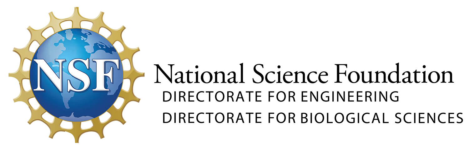 NSF