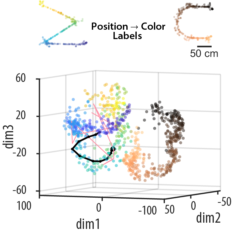 Gaussian Process Manifolds